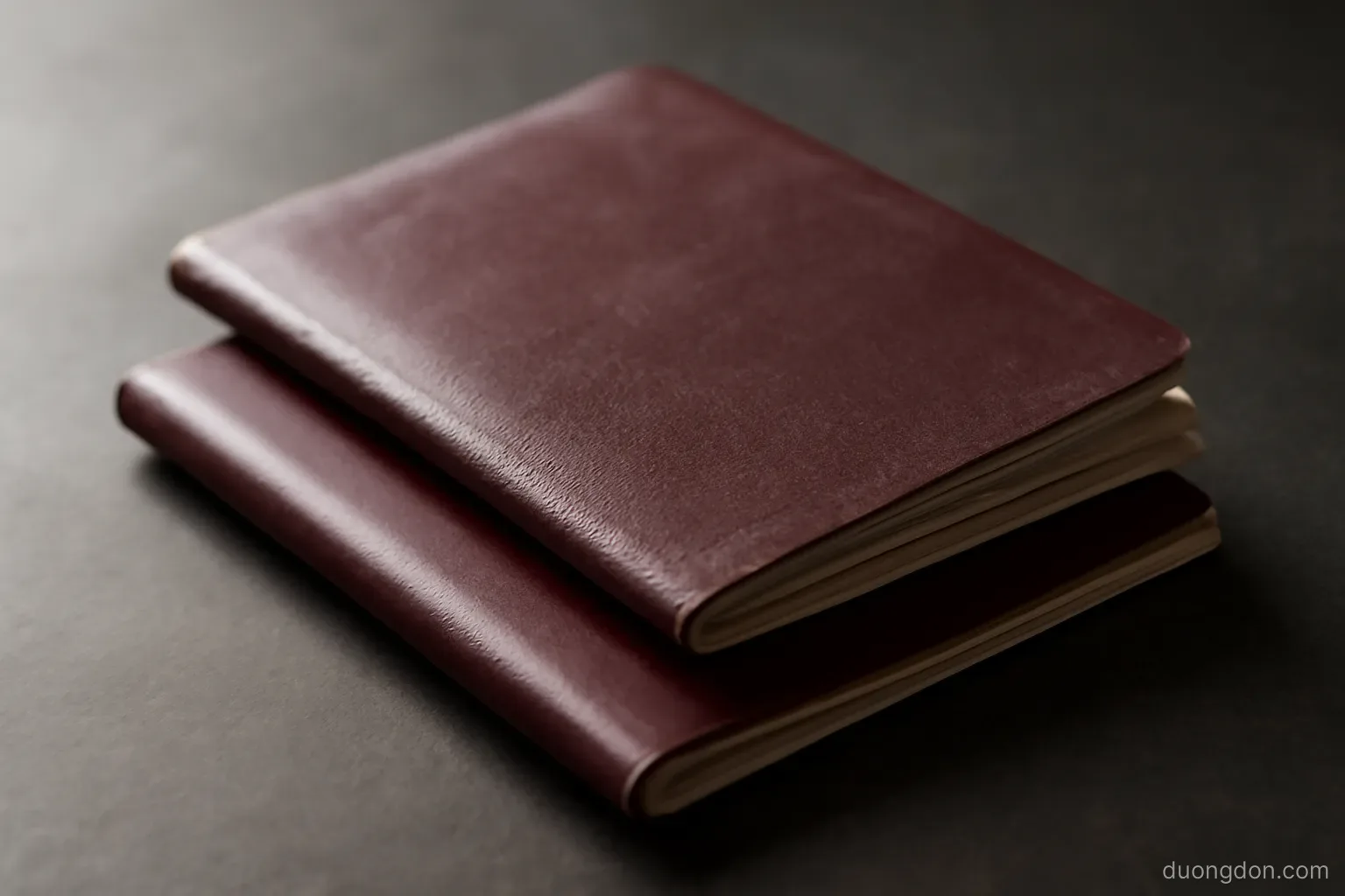 two passports stacked with one slightly worn and one new lying on a dark surface, side light, covers plain and unreadable